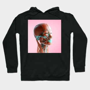 Facial muscles, illustration, (F035/6168) Hoodie